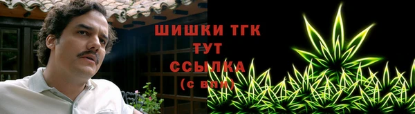 индика Заводоуковск