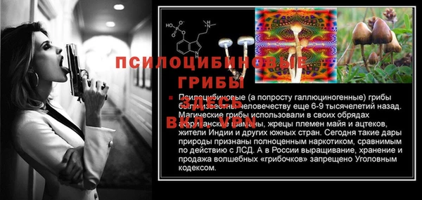 скорость Абаза